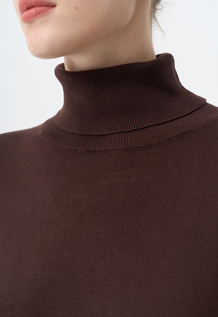 Choice Turtleneck Basic Maxi Dress Brown