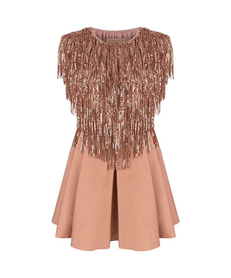 Machka Sequin-Tassel Embellished Mini Dress Dark Powder